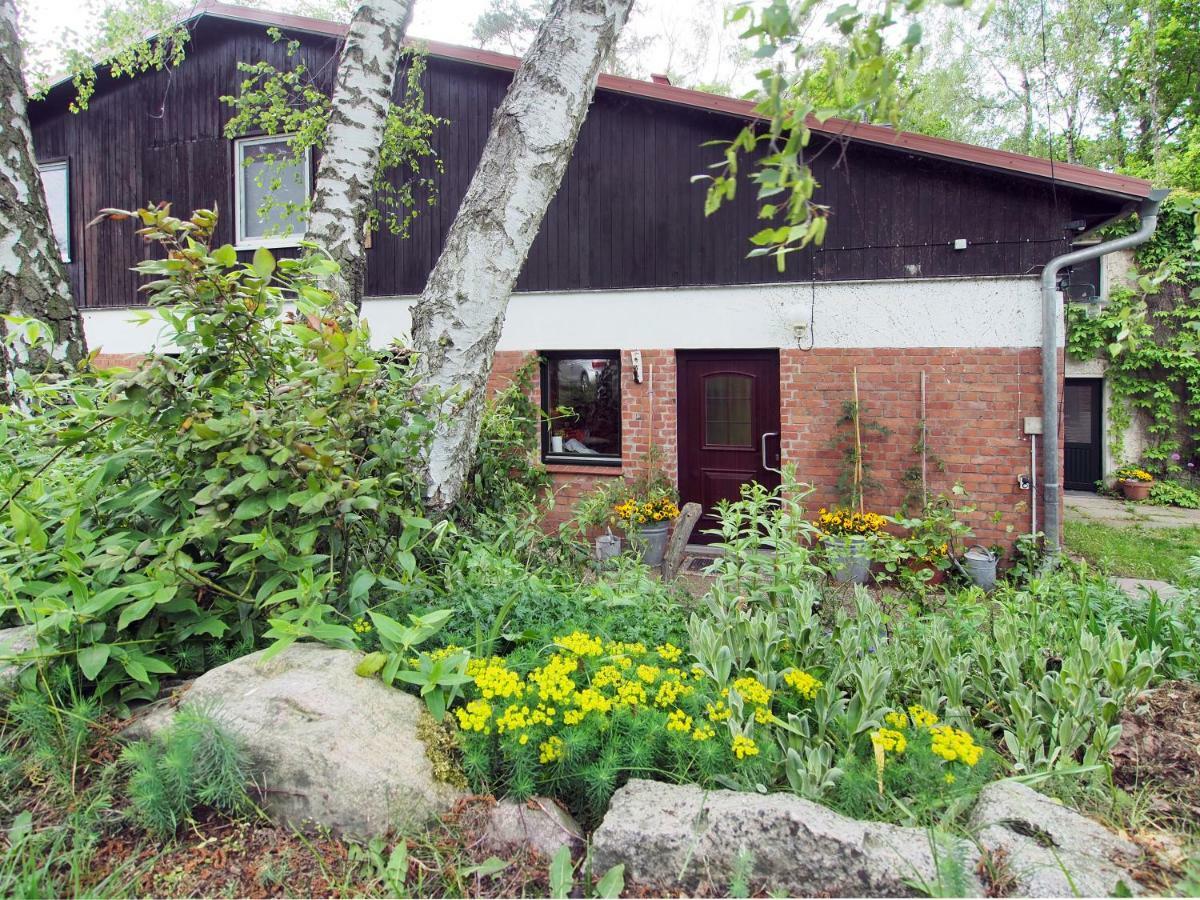 Ferienwohnung Am Duemmer See Dummer 외부 사진