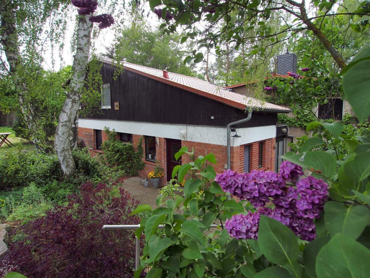 Ferienwohnung Am Duemmer See Dummer 외부 사진