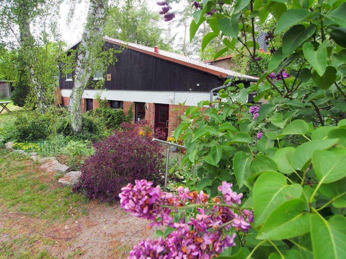Ferienwohnung Am Duemmer See Dummer 외부 사진