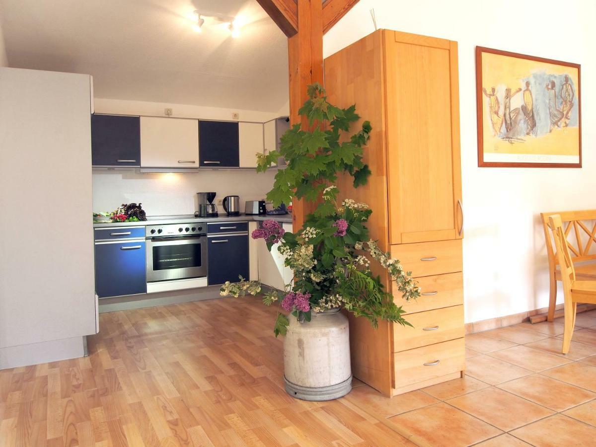 Ferienwohnung Am Duemmer See Dummer 외부 사진