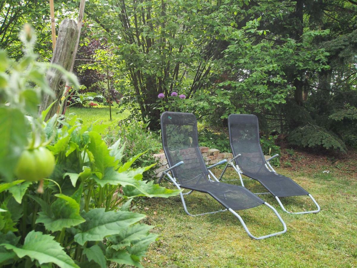 Ferienwohnung Am Duemmer See Dummer 외부 사진