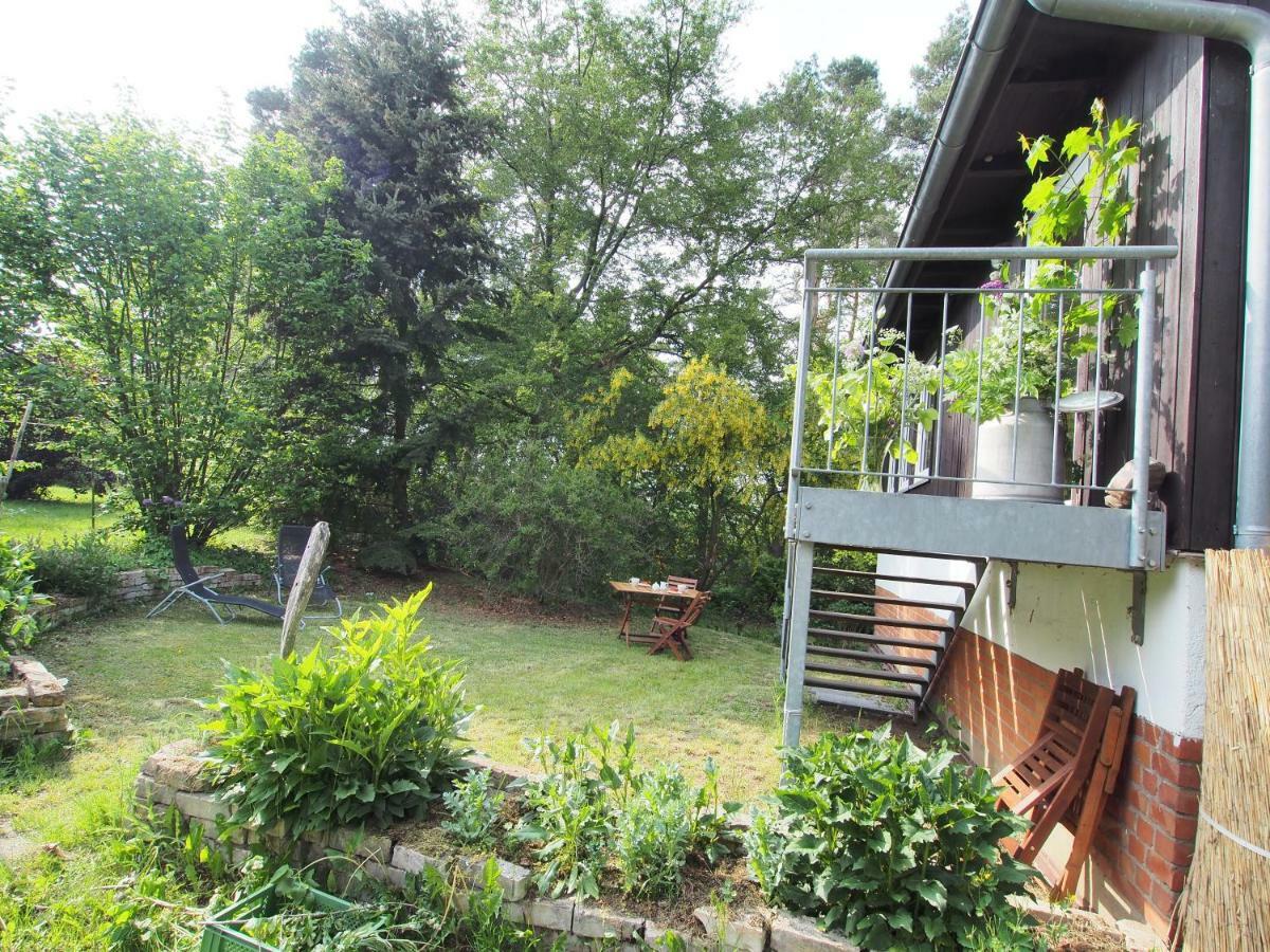 Ferienwohnung Am Duemmer See Dummer 외부 사진