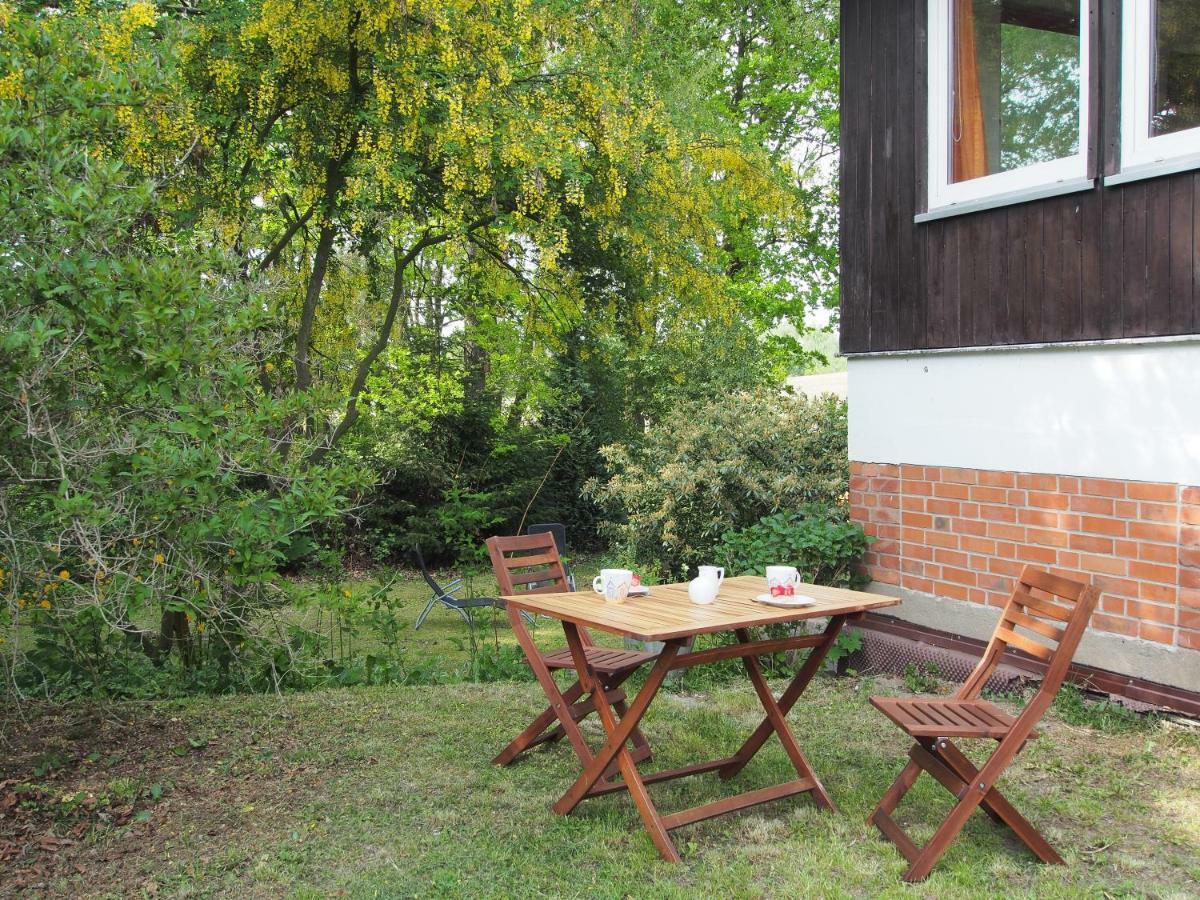 Ferienwohnung Am Duemmer See Dummer 외부 사진
